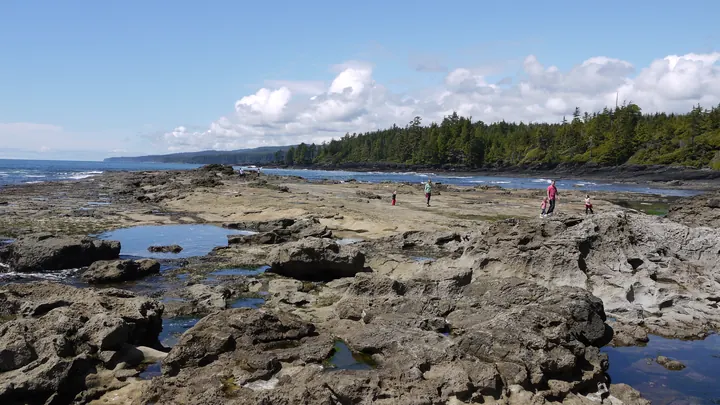 Botanical Beach, British Columbia