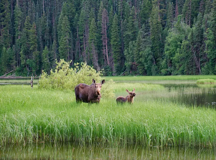 Bowron Lake circuit, British Columbia