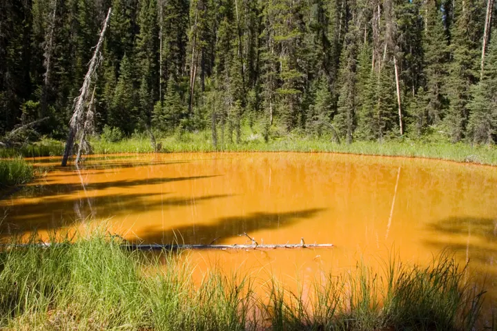 Paint Pots, Kootenay National Park, British Columbia