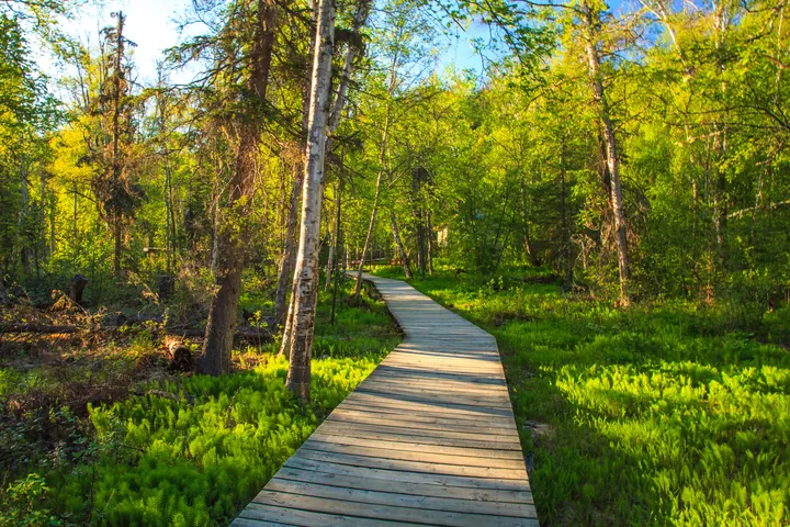 Liard River Hot Springs, British Columbia