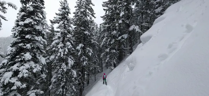 Manning Park, British Columbia