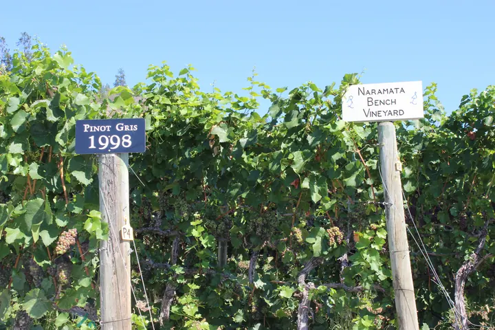 Naramata Bench, British Columbia