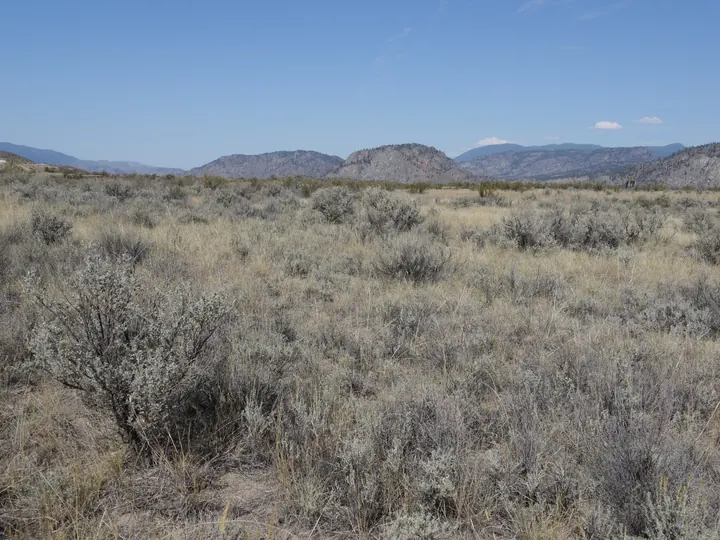 Osoyoos desert, British Columbia