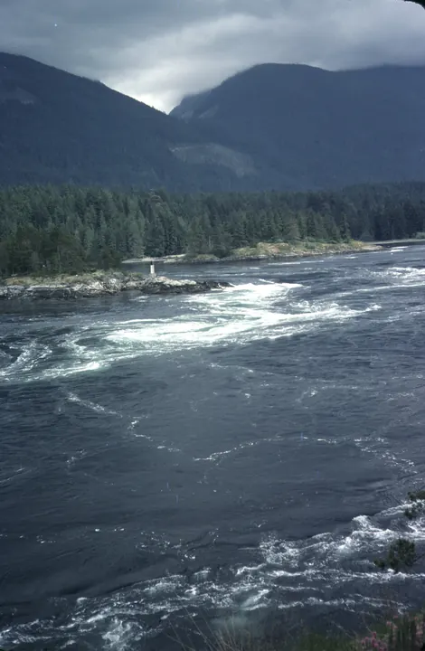 Skookumchuck Narrows, British Columbia