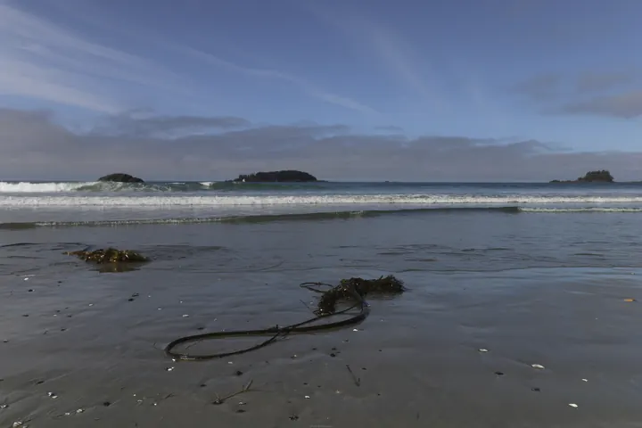 Long Beach, Tofino, British Columbia