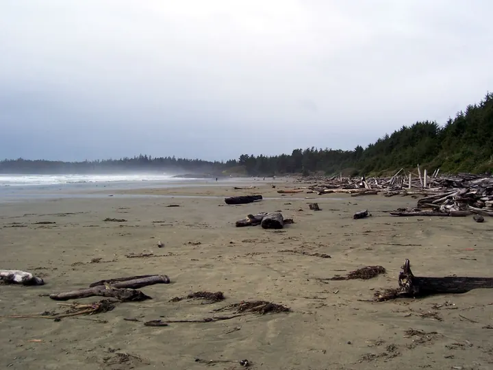 Tofino and Long Beach, British Columbia
