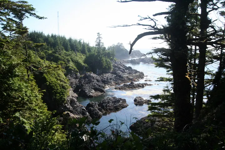Wild Pacific Trail, Ucluelet, British Columbia